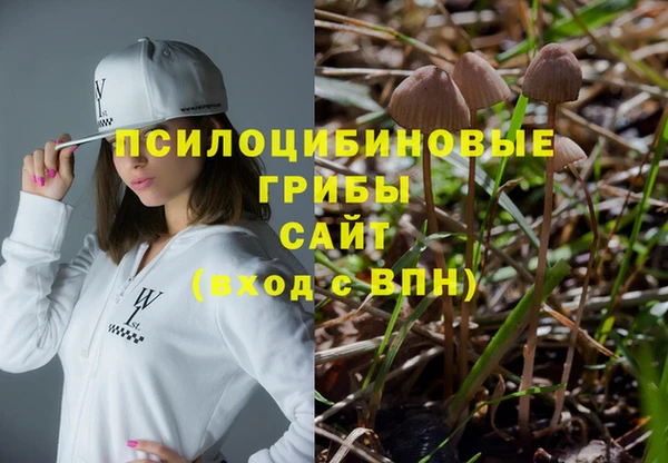 spice Алзамай