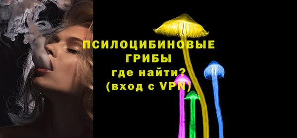 spice Алзамай