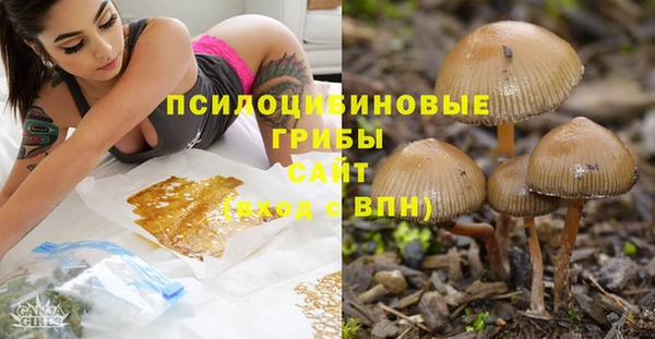 прущая мука Алексин
