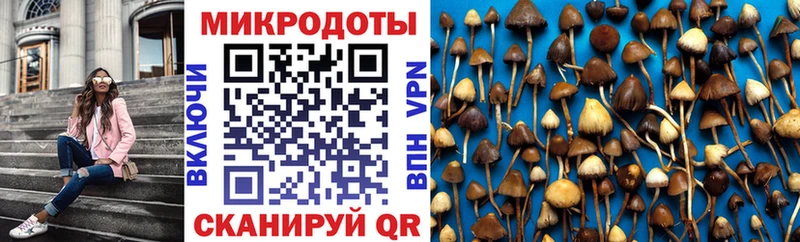 Псилоцибиновые грибы MAGIC MUSHROOMS  Нелидово 